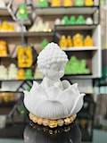 CHÚ TIỂU-ĐÀI SEN